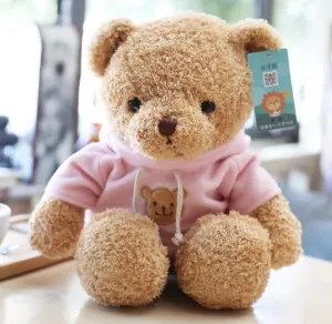 12.5” Brown Bear with pink sweater