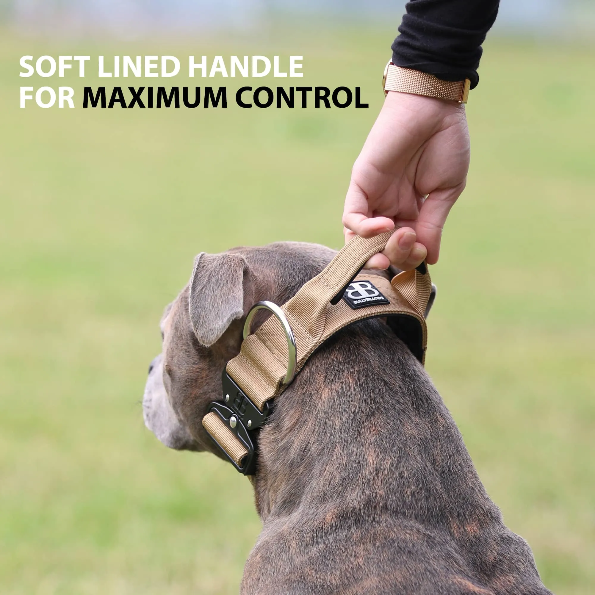 5cm Combat® Collar | With Handle & Secure Clip - Khaki