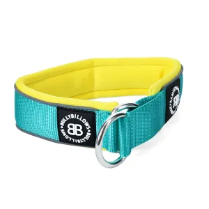 5cm Slip on Collar | Foam Padded - Turquoise x Yellow