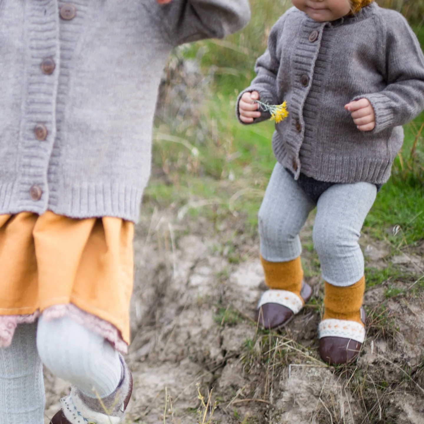 Coastal Forest Merino Wool Cardigan