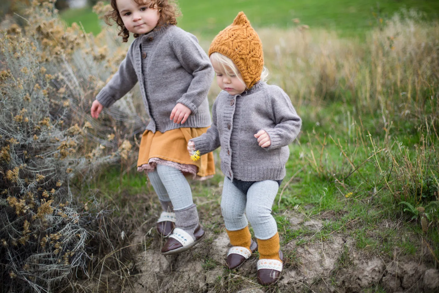 Coastal Forest Merino Wool Cardigan