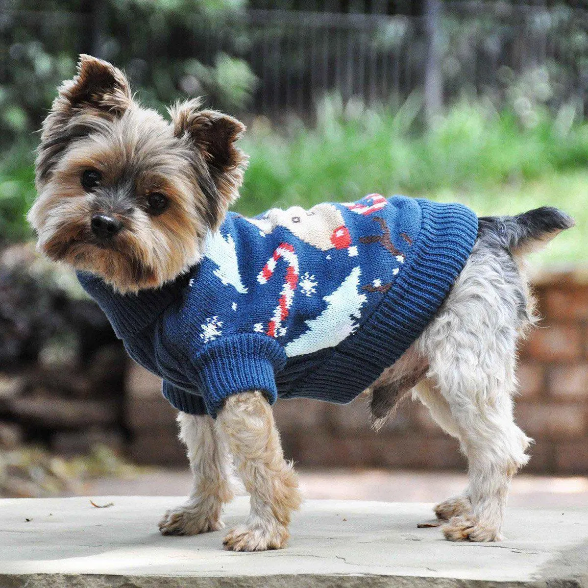 Combed Cotton Ugly Reindeer Holiday Dog Sweater