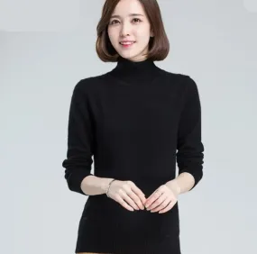 Long Sleeve Cashmere Turtleneck Sweater