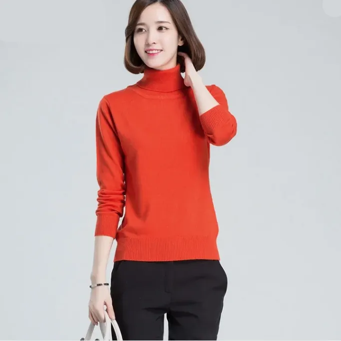 Long Sleeve Cashmere Turtleneck Sweater