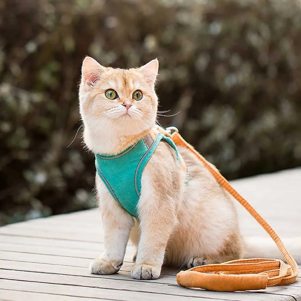 Pet Vest Harness in Macaron Colors