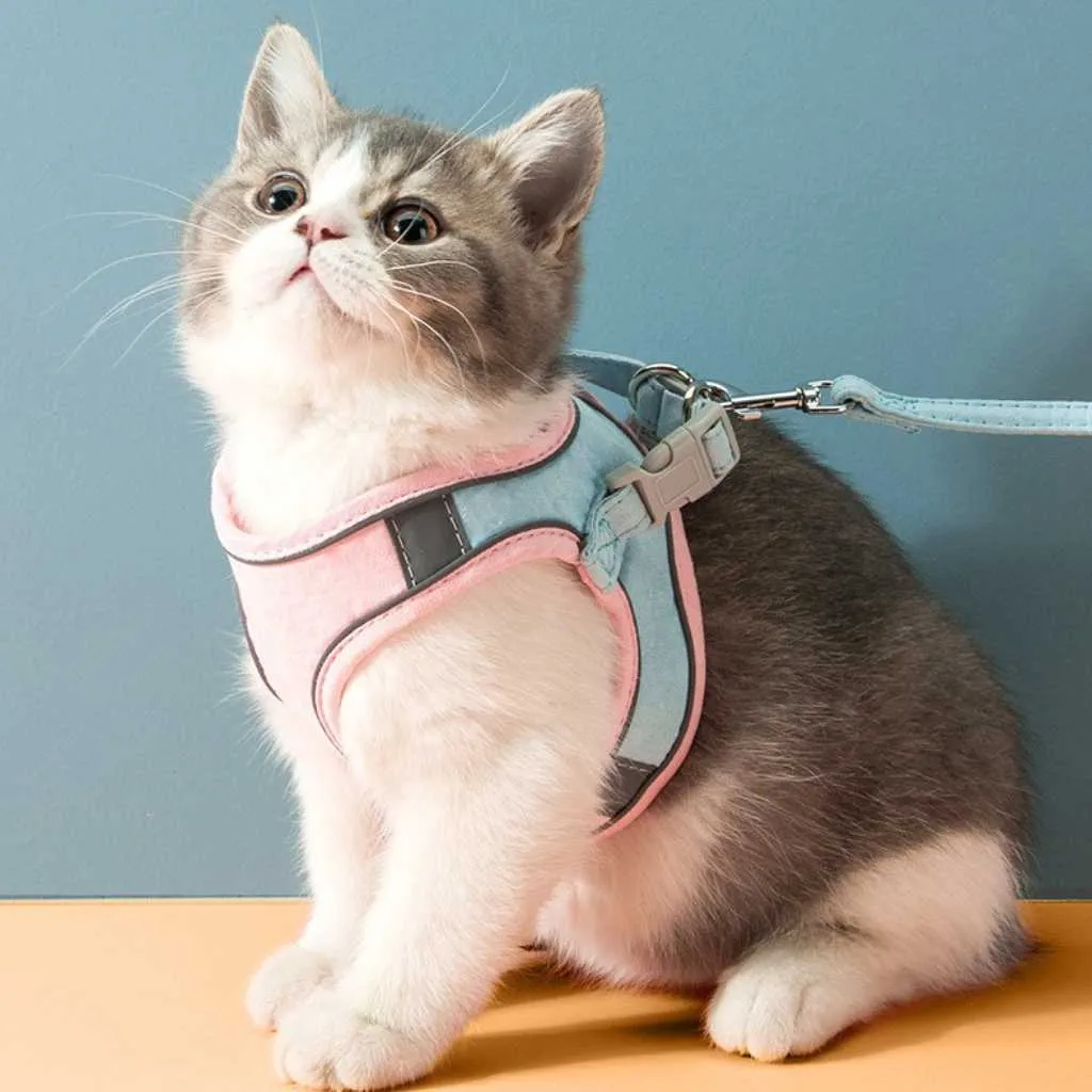 Pet Vest Harness in Macaron Colors