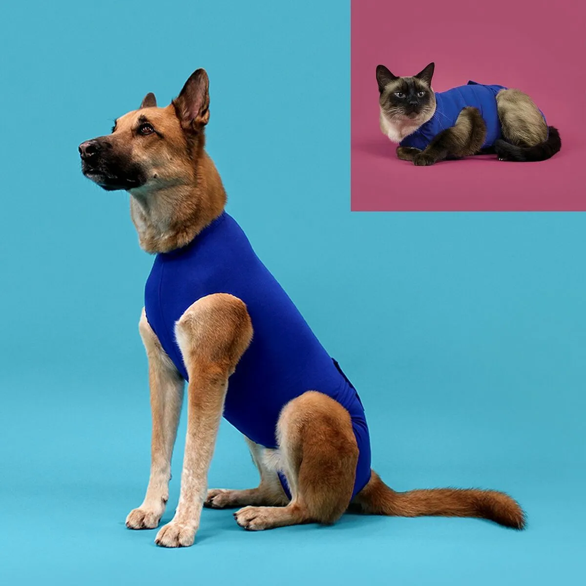 Recovery Vest for Pets KVP Blue 53-61 cm