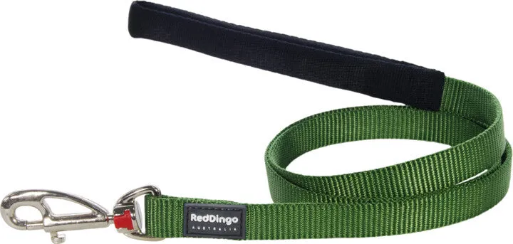 Red Dingo Leash Green Large 25mm 6ft