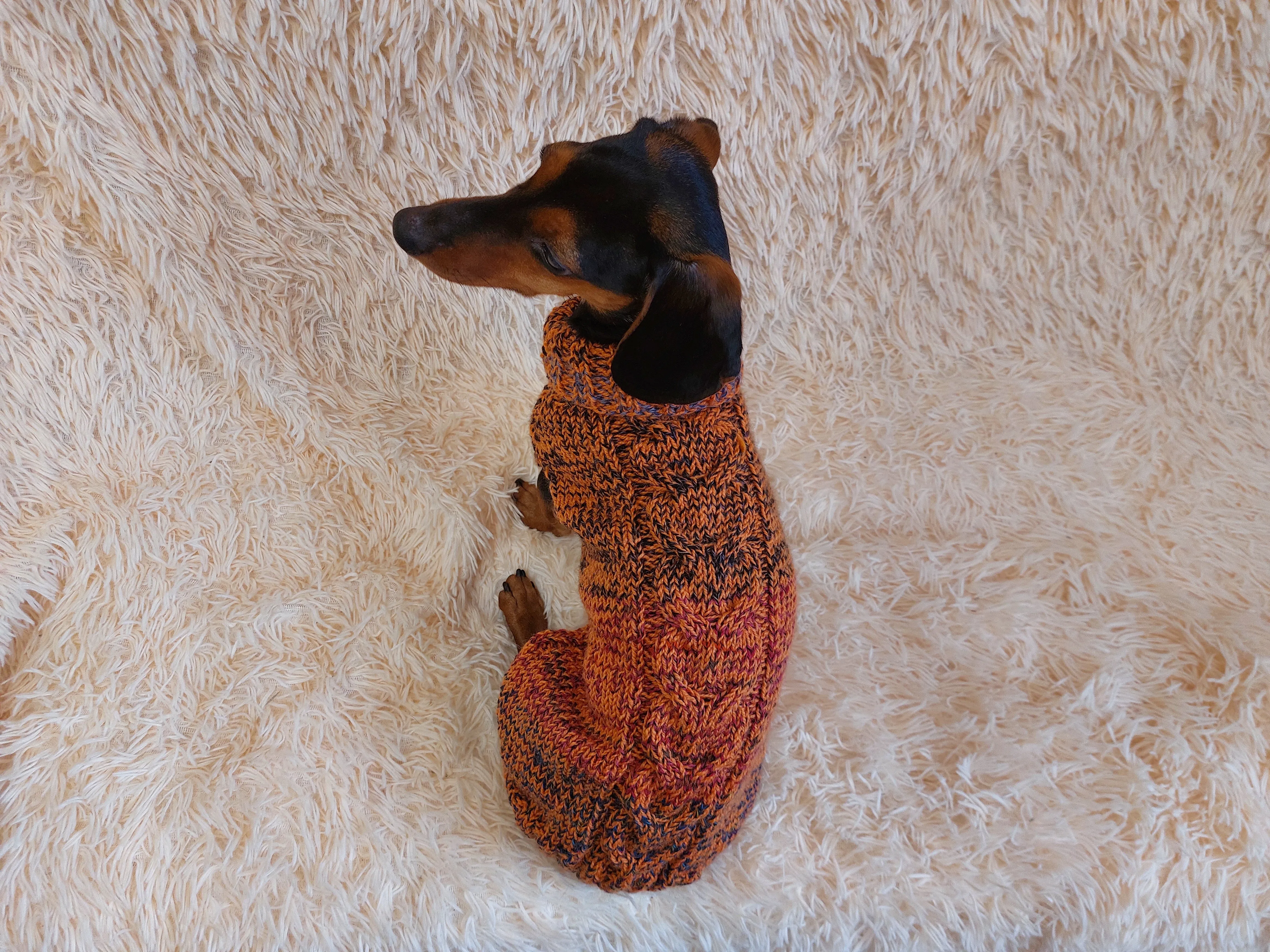 Warm Pet Clothes Small Dog Sweater, Dachshund Jumper