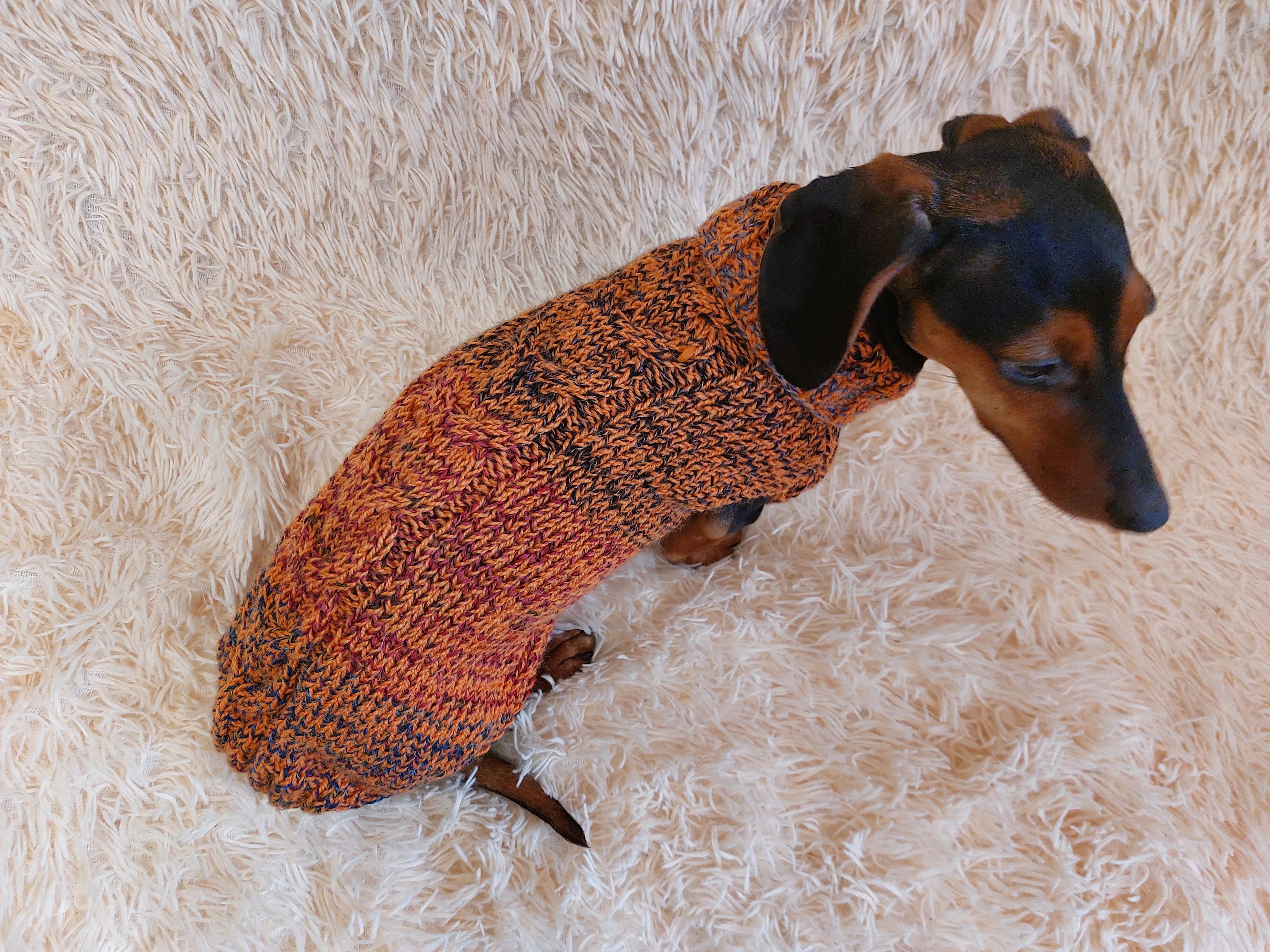 Warm Pet Clothes Small Dog Sweater, Dachshund Jumper