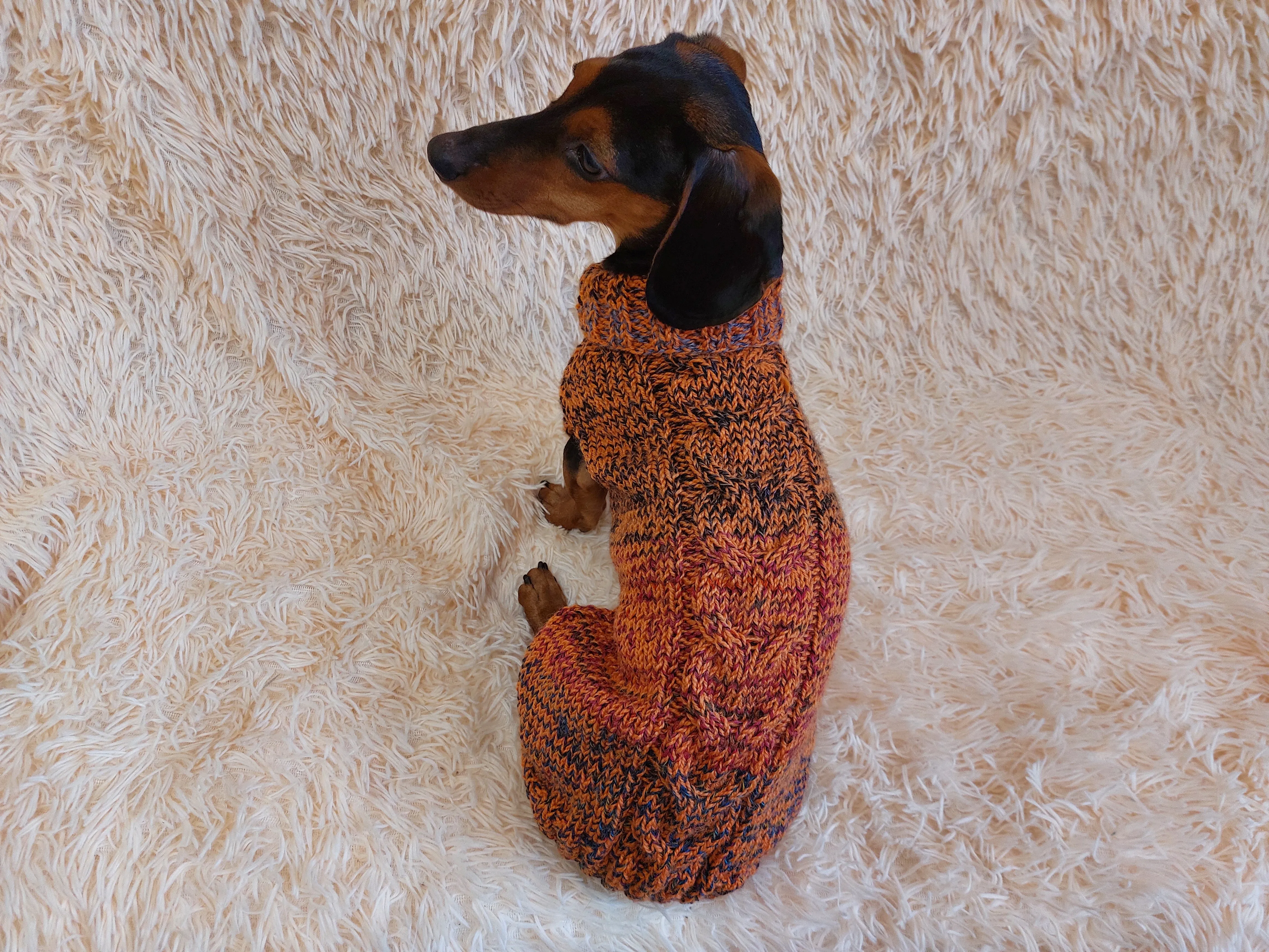 Warm Pet Clothes Small Dog Sweater, Dachshund Jumper